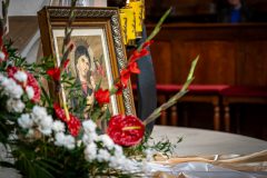 DSC_1882_20240928_175217-2